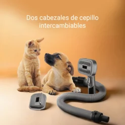Ufesa Accesorios de aspiración Wally Pet